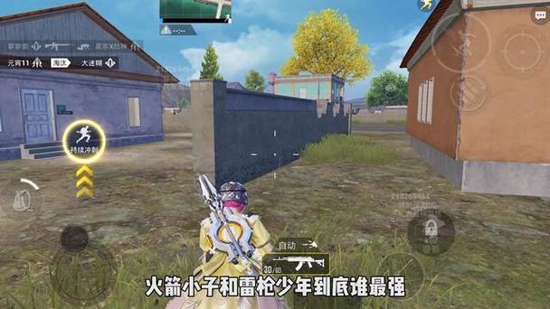 和平精英免费辅助多（和平精英无费用辅助）